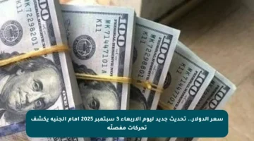 سعر الدولار.. تحديث جديد ليوم الأربعاء 3 سبتمبر 2025 أمام الجنيه يكشف تحركات مفصلّة